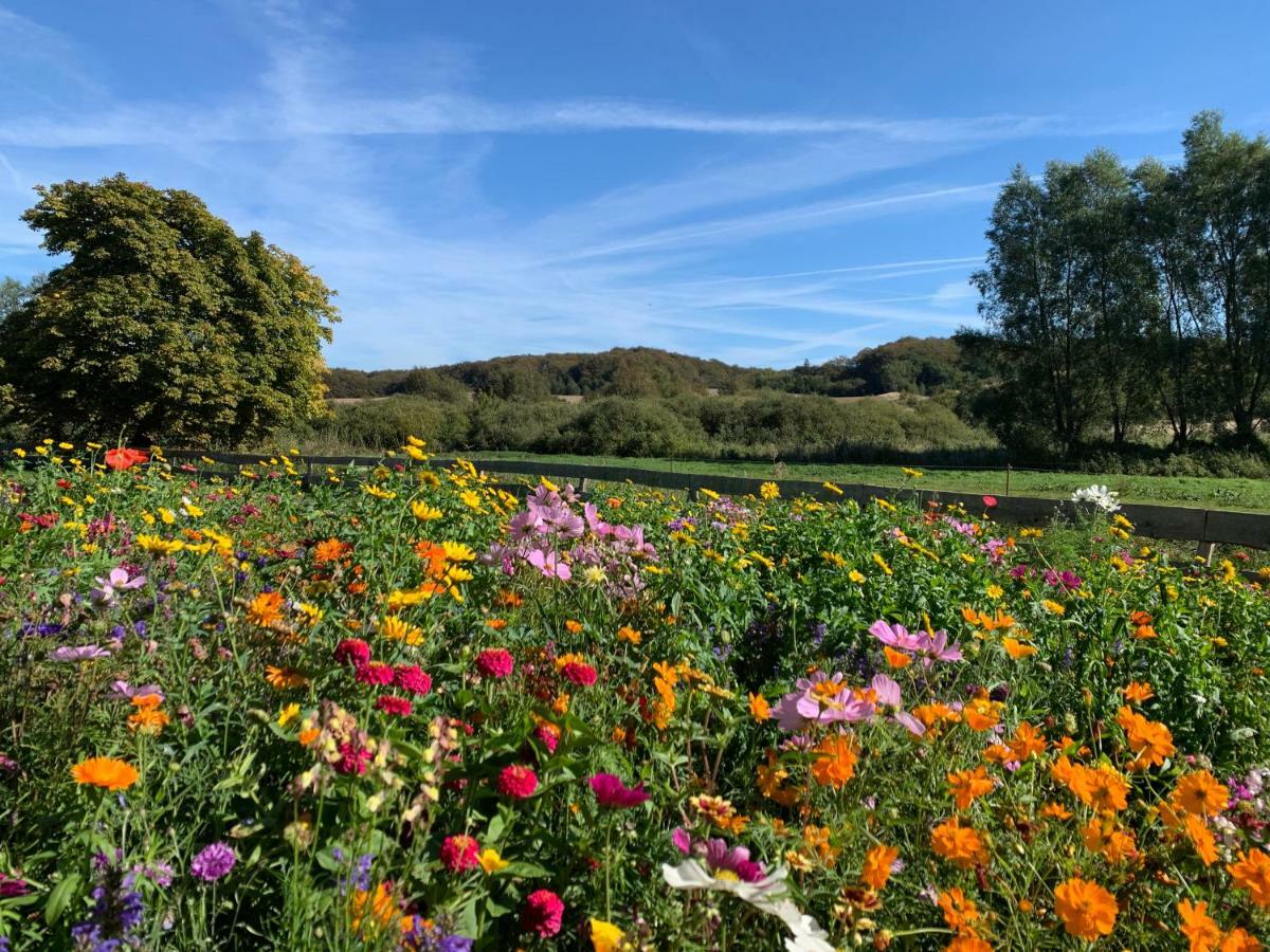 Ferienhaus Am Nationalpark - Ihr Zuhause Auf Ruegen 로메 외부 사진